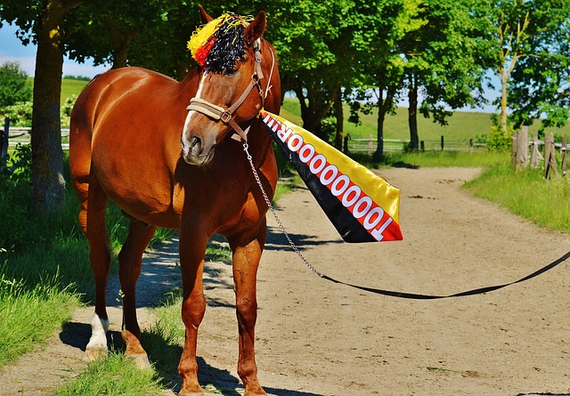 3战全胜！杨舒予9助攻卫冕冠军广东女篮大胜浙江 周琪22+6三分